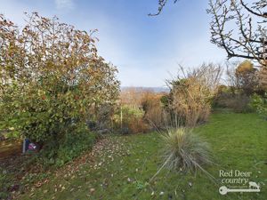 Garden- click for photo gallery